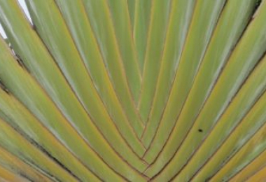 Le clo�tre